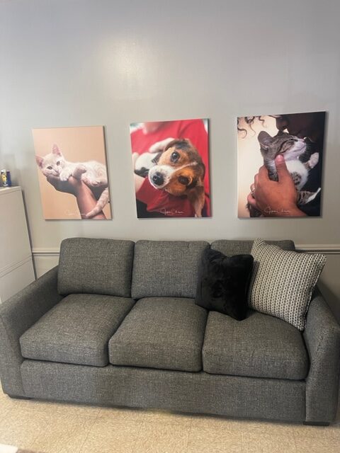 Our Shelter S Makeover By Green Front Furniture Southside SPCA   Greenfront 3 Rotated 