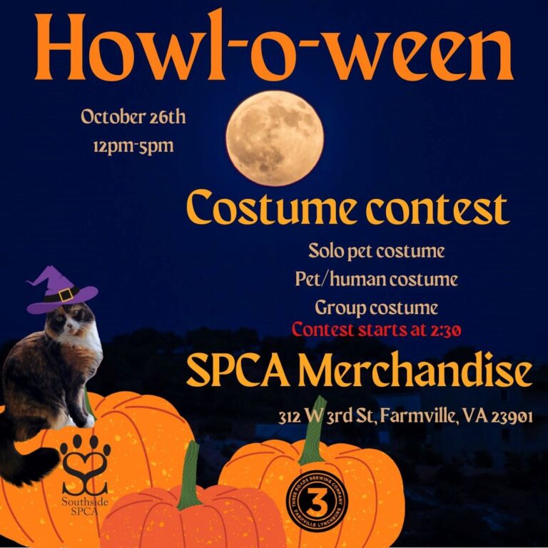SPCA Halloween event 2024